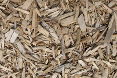 biomass boilers High Common
